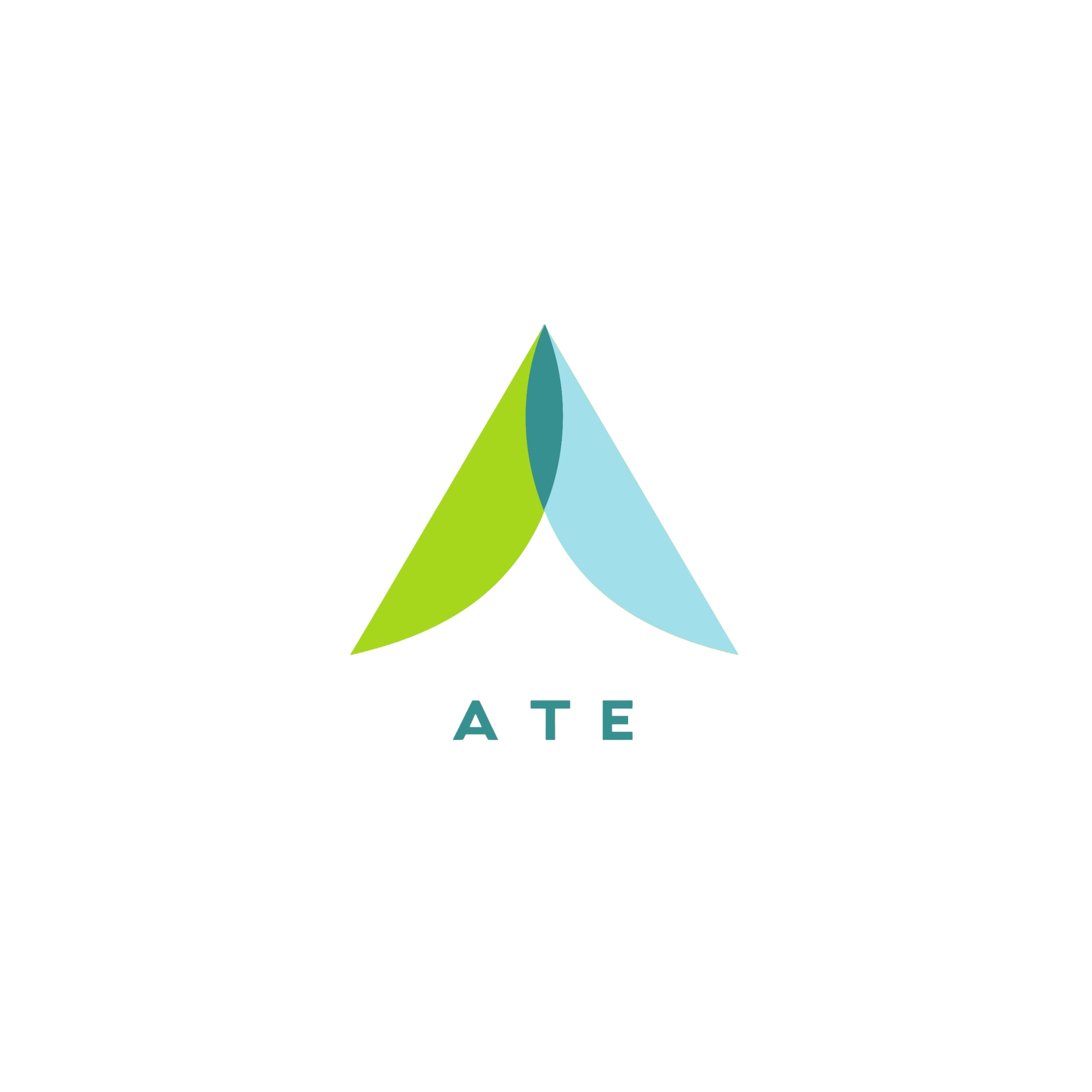 Client Logo 4